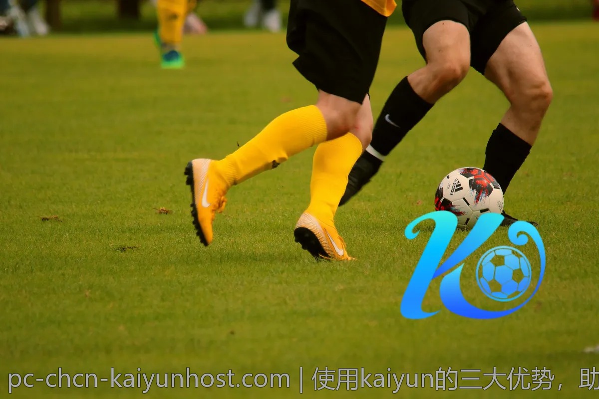 使用kaiyun的三大优势，助你提升工作效率
