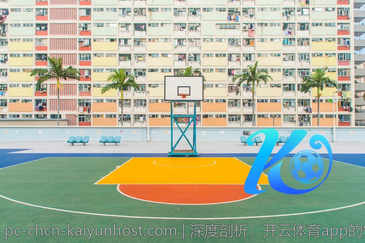 深度剖析：开云体育app的安全性如何？